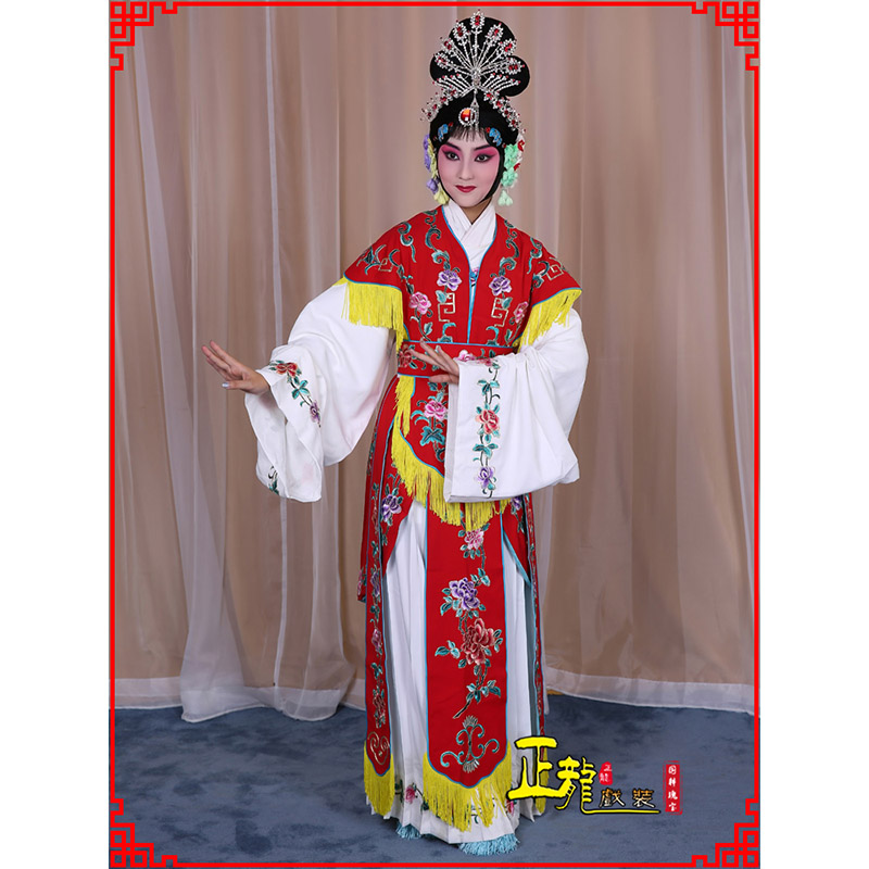 文成戏曲服装舞台演出红娘装